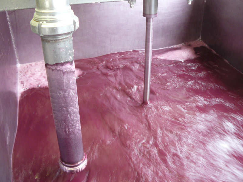 Vinification