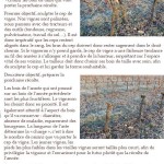 Ce blog n'est pas un self-service : le plagiat tue le référencement