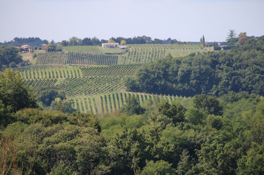 Paysages de la région Entre-deux-mers