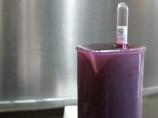 Le mustimètre ou densimètre permet de mesurer la densité du moût en fermentation