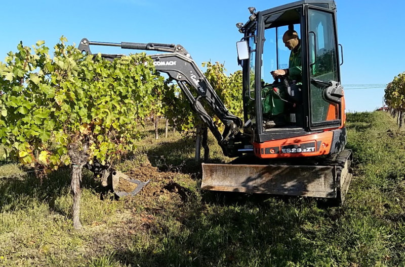 Notre voisin vigneron Lionel arrache les racines et ameublit la terre avec sa mini-pelle